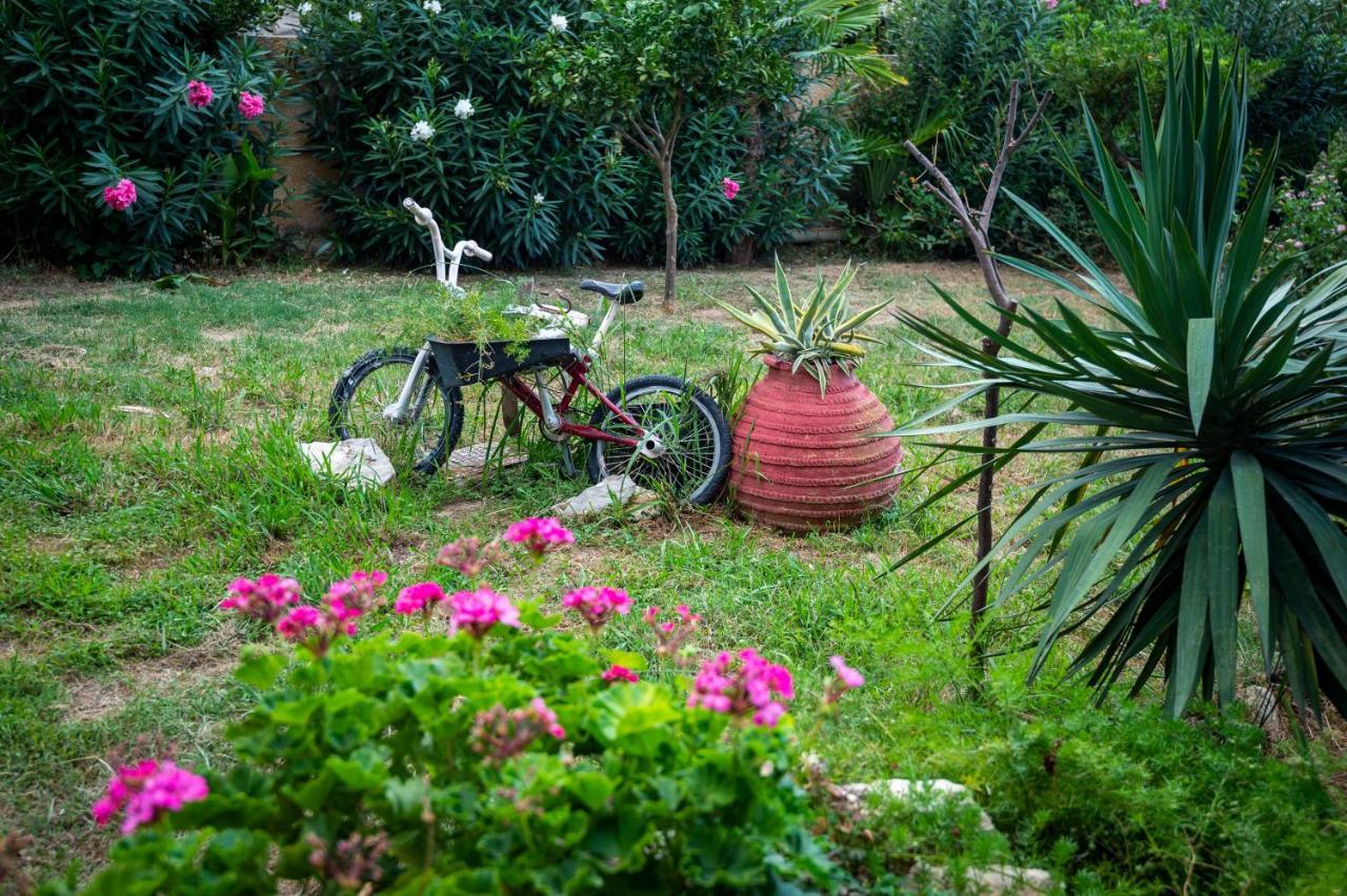 Hotel Agamemnon Beach Agioi Apostoloi  Extérieur photo